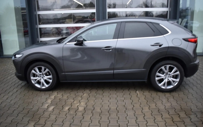 Mazda CX-30 cena 114999 przebieg: 83806, rok produkcji 2019 z Chmielnik małe 191